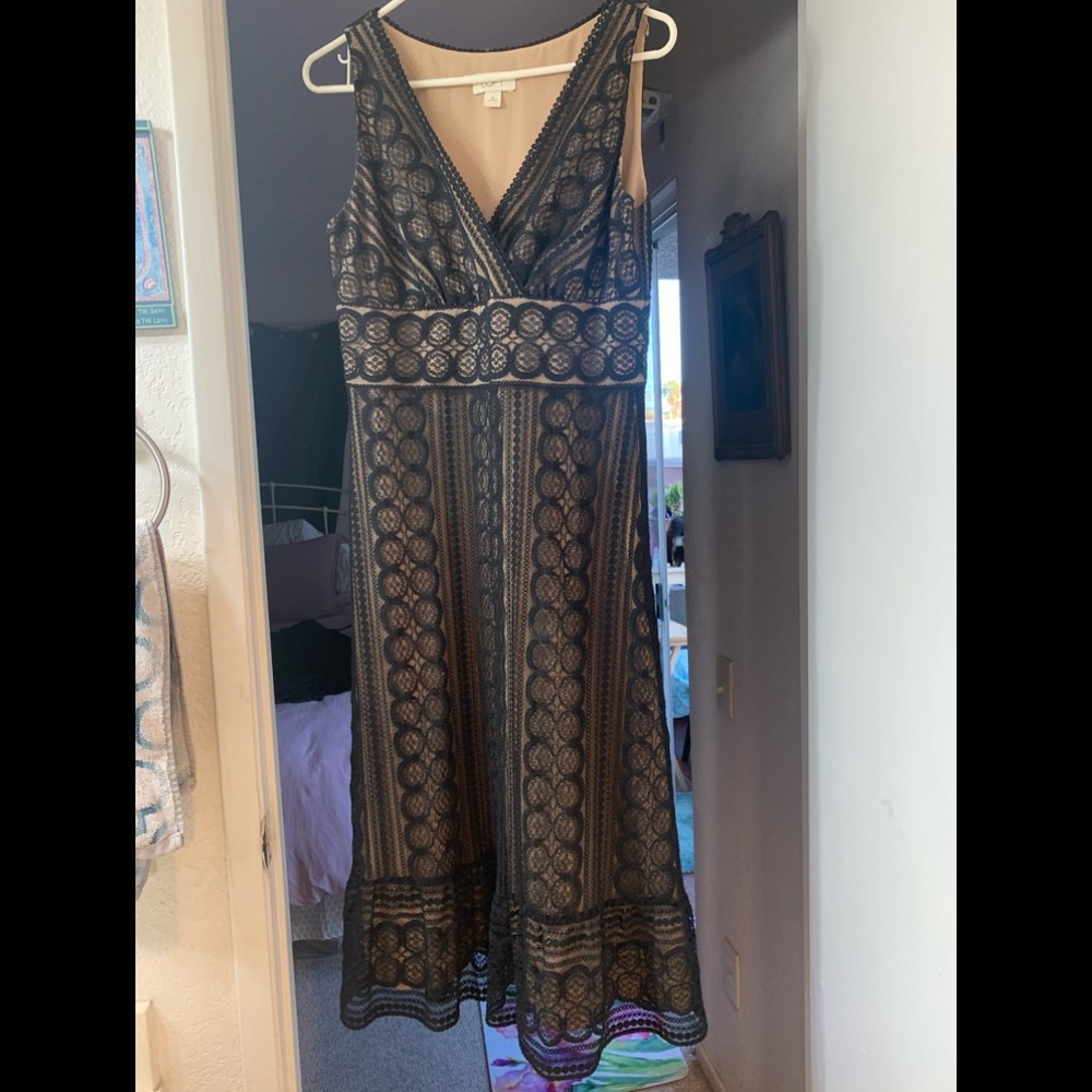 Ann Taylor Loft  lace dress